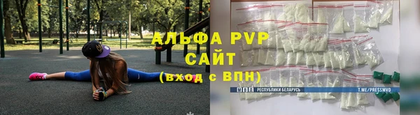 Альфа ПВП Горняк