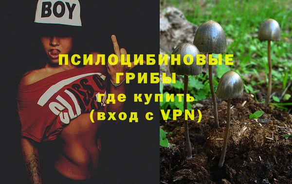 винт Володарск
