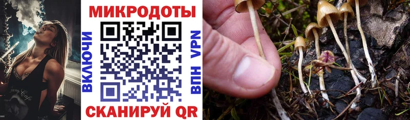 Псилоцибиновые грибы GOLDEN TEACHER Копейск